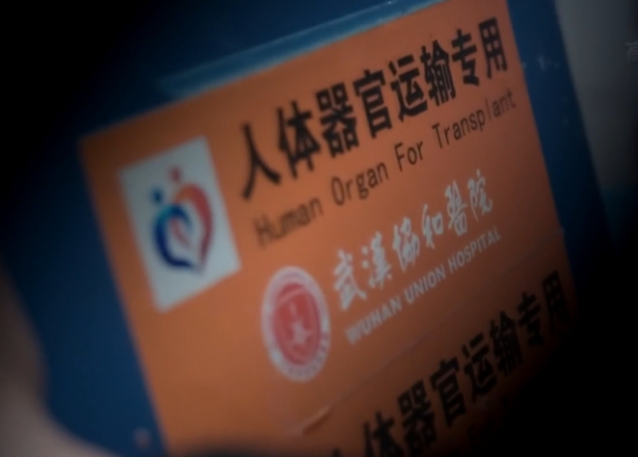 【禁聞】追查國際揭武漢活摘器官產業鏈黑幕
