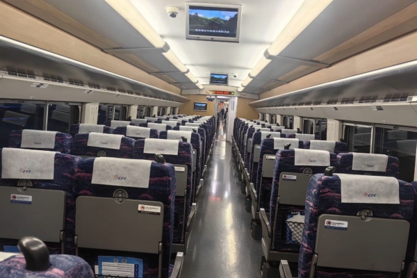 大陸春運怪象 一票難搶 列車卻空座驚人