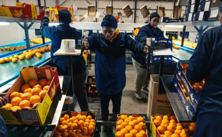 【禁聞】中共對非洲實施零關稅的四大政治圖謀