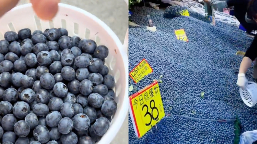 中國藍莓跌至15元一斤 商家按桶賣（視頻）