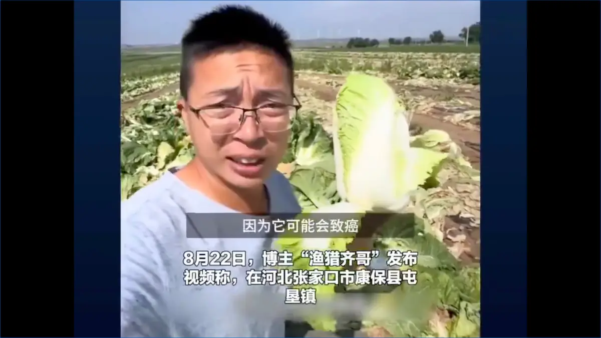 甲醛白菜風波席捲中國 食安問題為何難杜絕