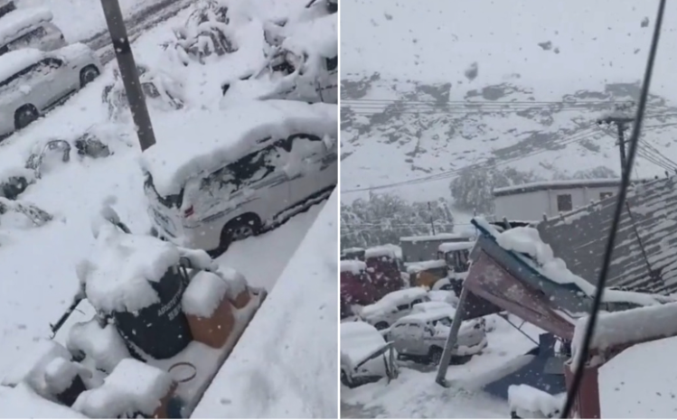 西藏特大暴雪 遊客和牧民被困多天已斷糧